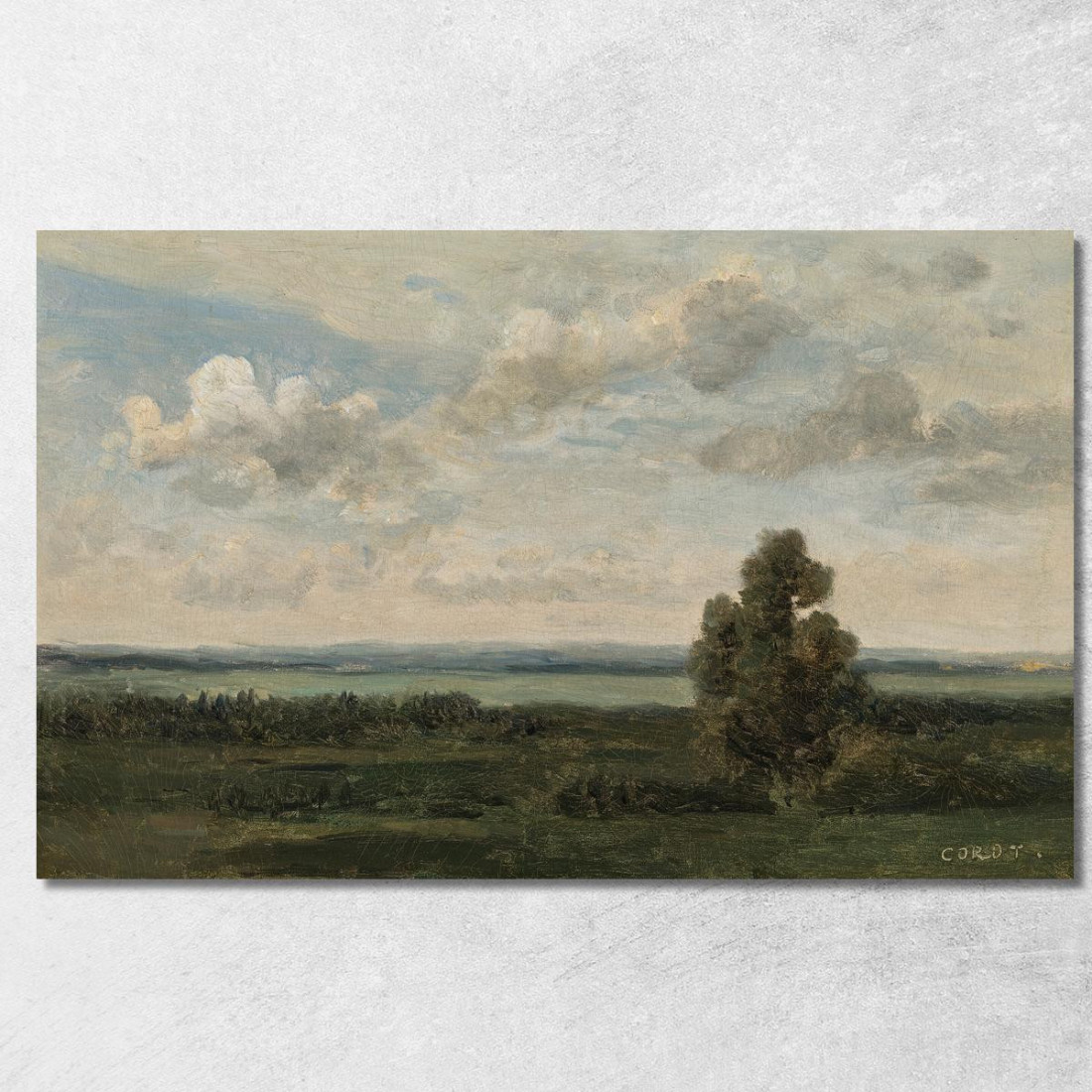 Pianure D'Orléans Jean-Baptiste-Camille Corot jbc199 quadro stampato su tela