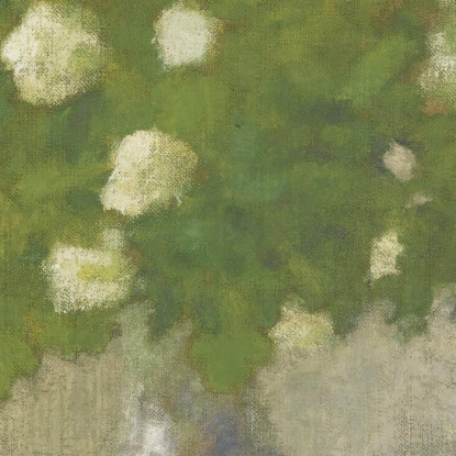 Fiori Di Palle Di Neve Pierre Bonnard pbn15 quadro stampato su tela