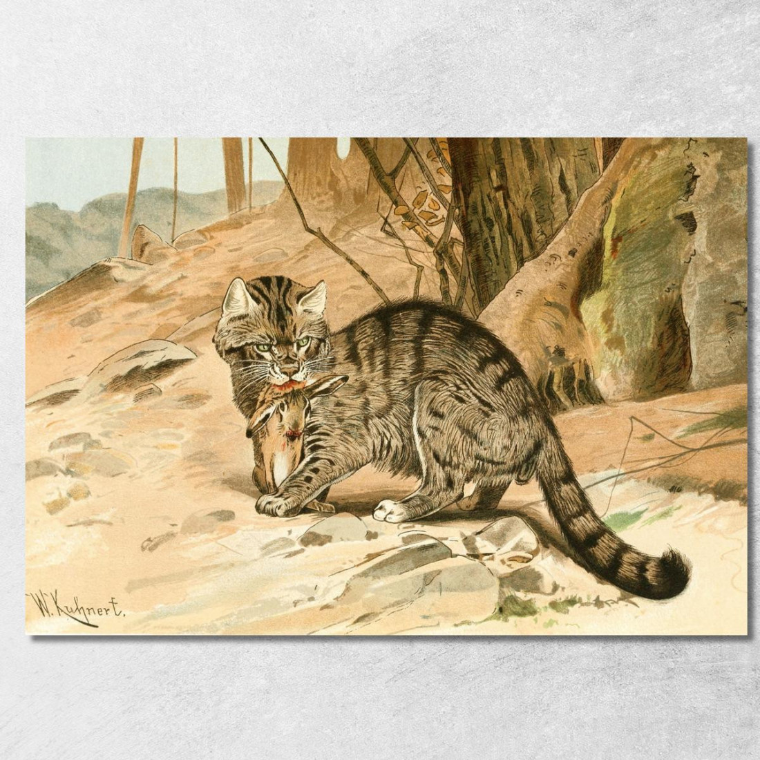 Gatto Selvatico Wilhelm Kuhnert wkh47 quadro stampato su tela