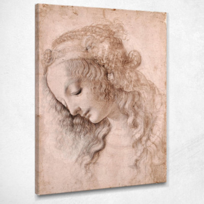 Testa Di Donna Leonardo Da Vinci ldv8 quadro stampato su tela