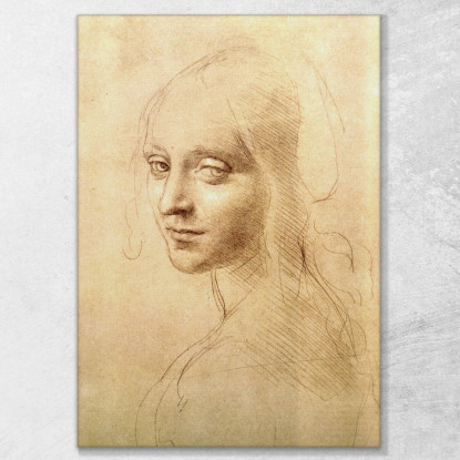 Testa Di Donna Leonardo Da Vinci ldv17 quadro stampato su tela