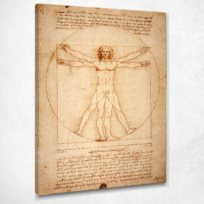 Uomo Vitruviano Leonardo Da Vinci ldv25 quadro stampato su tela