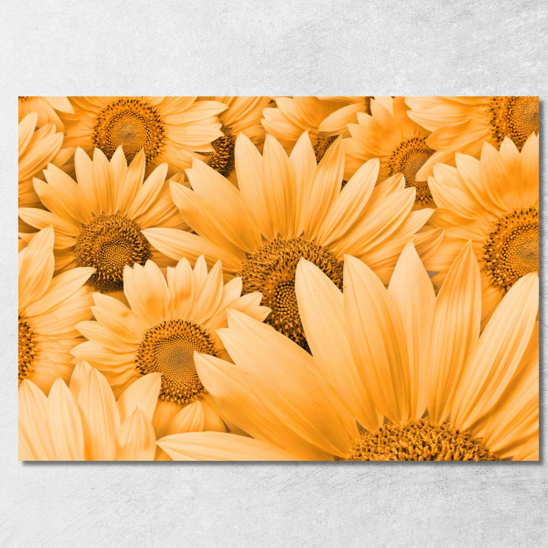 Quadro Composizione Di Girasoli Quadro Moderno Fiori Astratti flp7 quadro stampato su tela Quadro Composizione Di Girasoli Quadro Moderno Fiori Astratti flp7 quadro stampato su tela