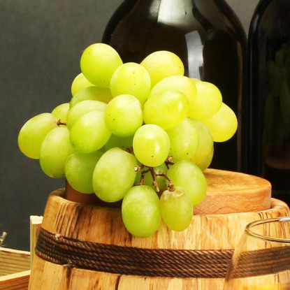 Quadro Moderno Degustazione Di Vini Con Uva E Bottiglie Su Sfondo Elegante foo50 quadro stampato su tela