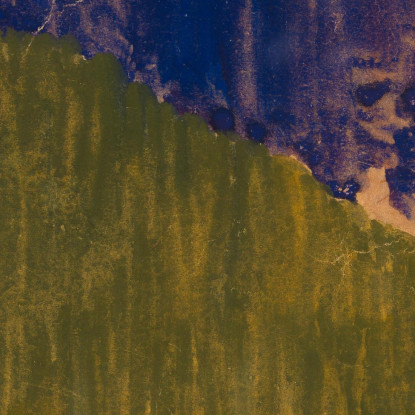 Studio Di Paesaggio Hirschbergen Foresta Boema Egon Schiele esh84 quadro stampato su tela