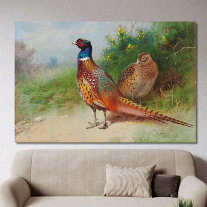 Una Fagiana E Un Fagiano Vicino All'Ulex Archibald Thorburn ath6 quadro stampato su tela