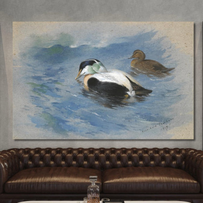 Una Coppia Di Edredoni Archibald Thorburn ath8 quadro stampato su tela