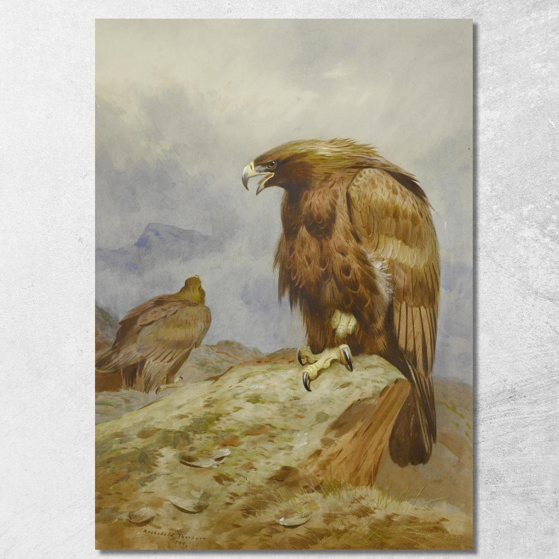 Una Coppia Di Aquile Reali Archibald Thorburn ath9 quadro stampato su tela Una Coppia Di Aquile Reali Archibald Thorburn ath9 quadro stampato su tela