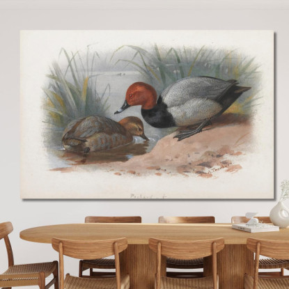 Una Coppia Di Moriglioni Archibald Thorburn ath10 quadro stampato su tela