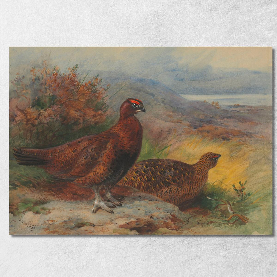 Una Coppia Di Pernici Rosse In Un Paesaggio Archibald Thorburn ath11 quadro stampato su tela Una Coppia Di Pernici Rosse In Un Paesaggio Archibald Thorburn ath11 quadro stampato su tela