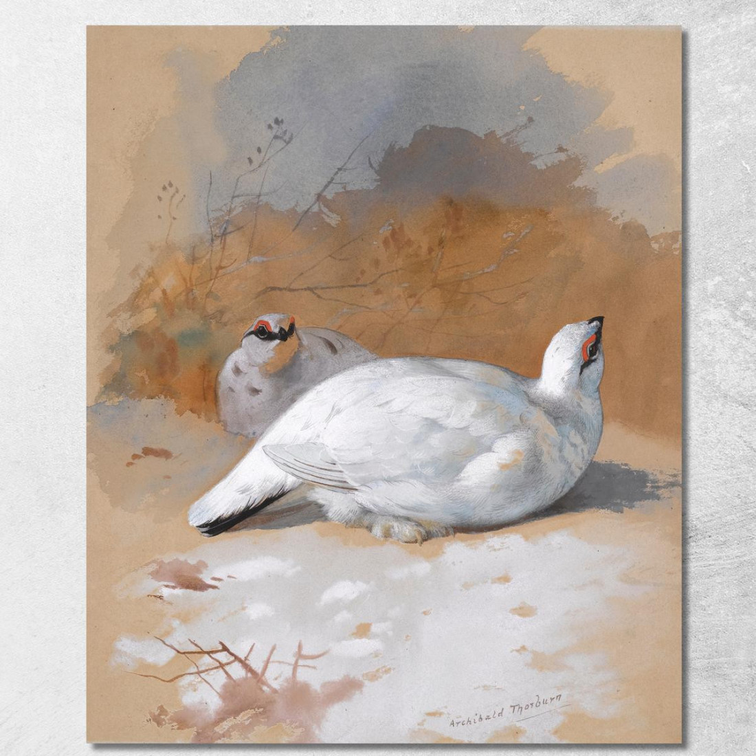 Una Coppia Di Pernici Bianche Nella Neve Archibald Thorburn ath18 quadro stampato su tela Una Coppia Di Pernici Bianche Nella Neve Archibald Thorburn ath18 quadro stampato su tela