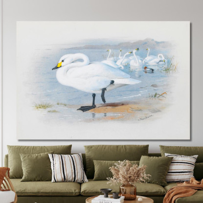 Cigno Di Bewick Archibald Thorburn ath20 quadro stampato su tela