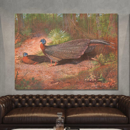 Fagiano Argus Del Borneo Archibald Thorburn ath30 quadro stampato su tela