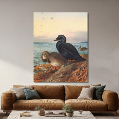 Moretta Comune Archibald Thorburn ath38 quadro stampato su tela