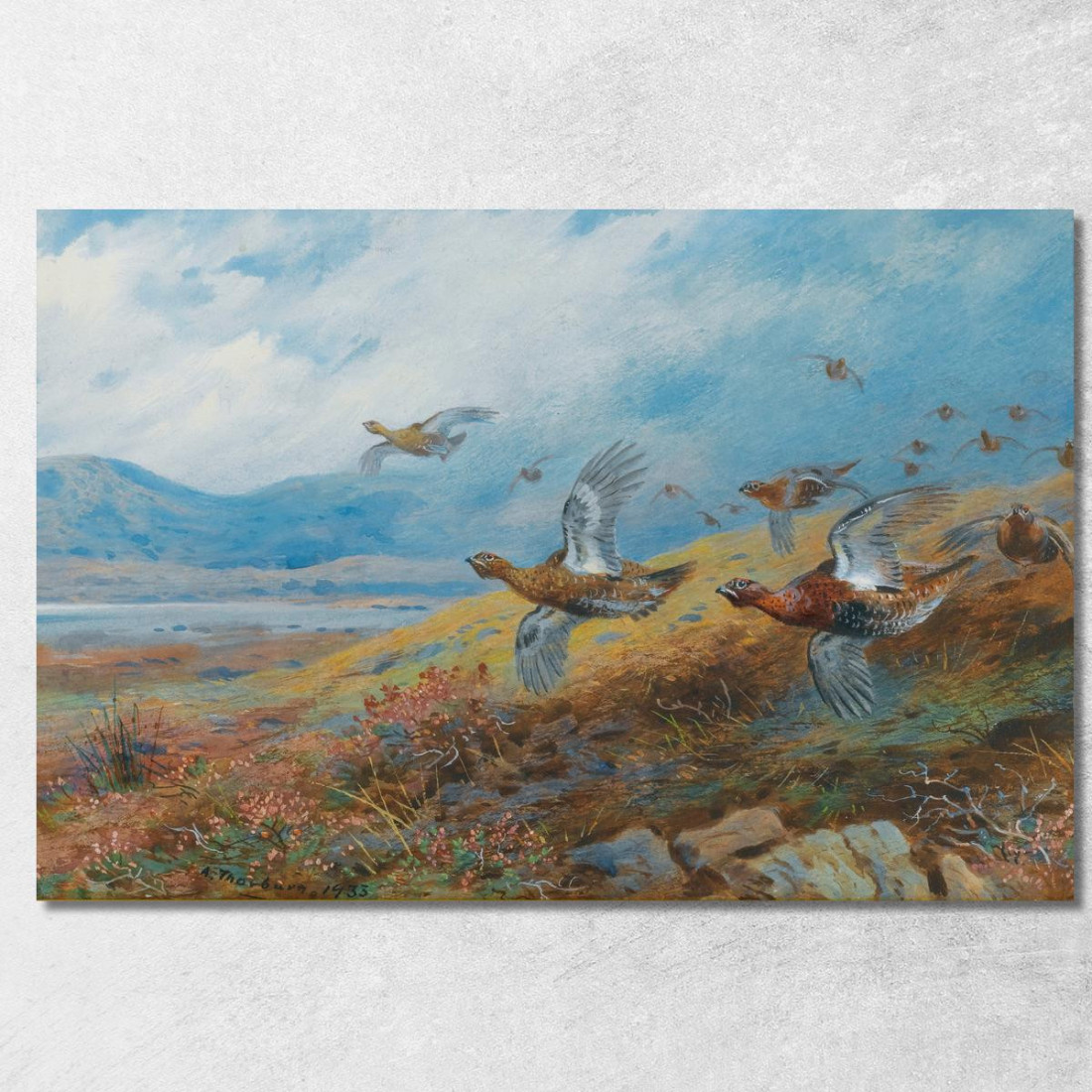 Caccia Alla Pernice Archibald Thorburn ath42 quadro stampato su tela Caccia Alla Pernice Archibald Thorburn ath42 quadro stampato su tela