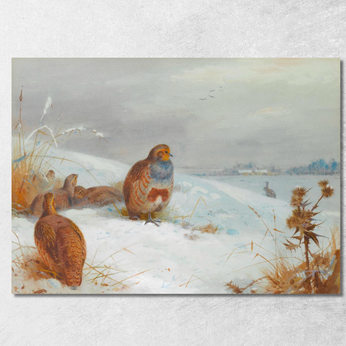 Tempi Difficili: Pernici E Una Lepre Archibald Thorburn ath54 quadro stampato su tela Tempi Difficili: Pernici E Una Lepre Archibald Thorburn ath54 quadro stampato su tela