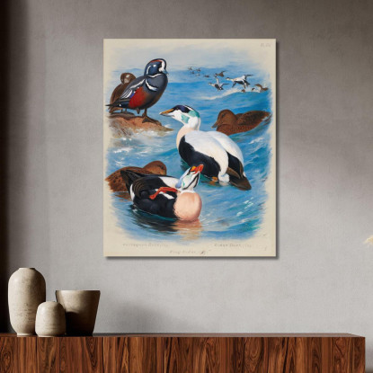 Anatre Arlecchino Ed Edredoni Archibald Thorburn ath55 quadro stampato su tela