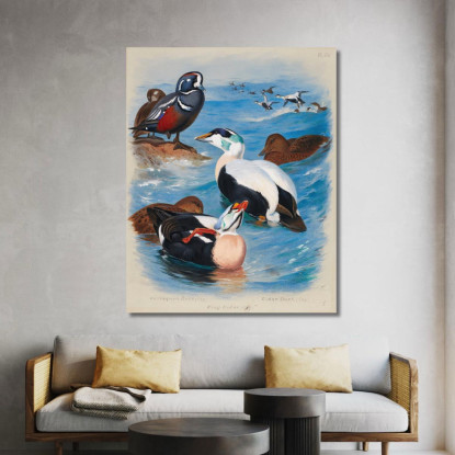 Anatre Arlecchino Ed Edredoni Archibald Thorburn ath55 quadro stampato su tela