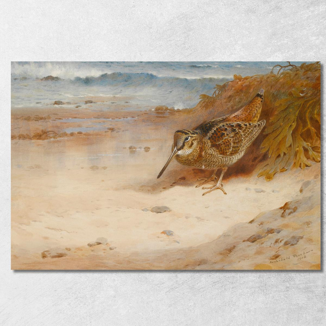 Affamati E Senza Casa Archibald Thorburn ath56 quadro stampato su tela Affamati E Senza Casa Archibald Thorburn ath56 quadro stampato su tela