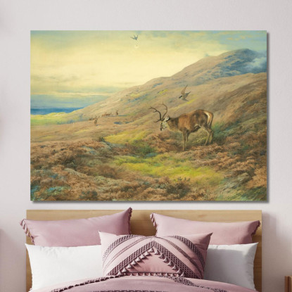 Nelle Highlands: Cervo Rosso Assalito Da Una Coppia Di Falchi Pellegrini Archibald Thorburn ath57 quadro stampato su tela