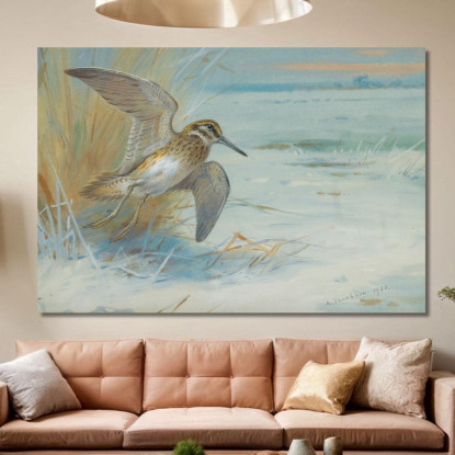Beccaccino In Decollo Archibald Thorburn ath58 quadro stampato su tela