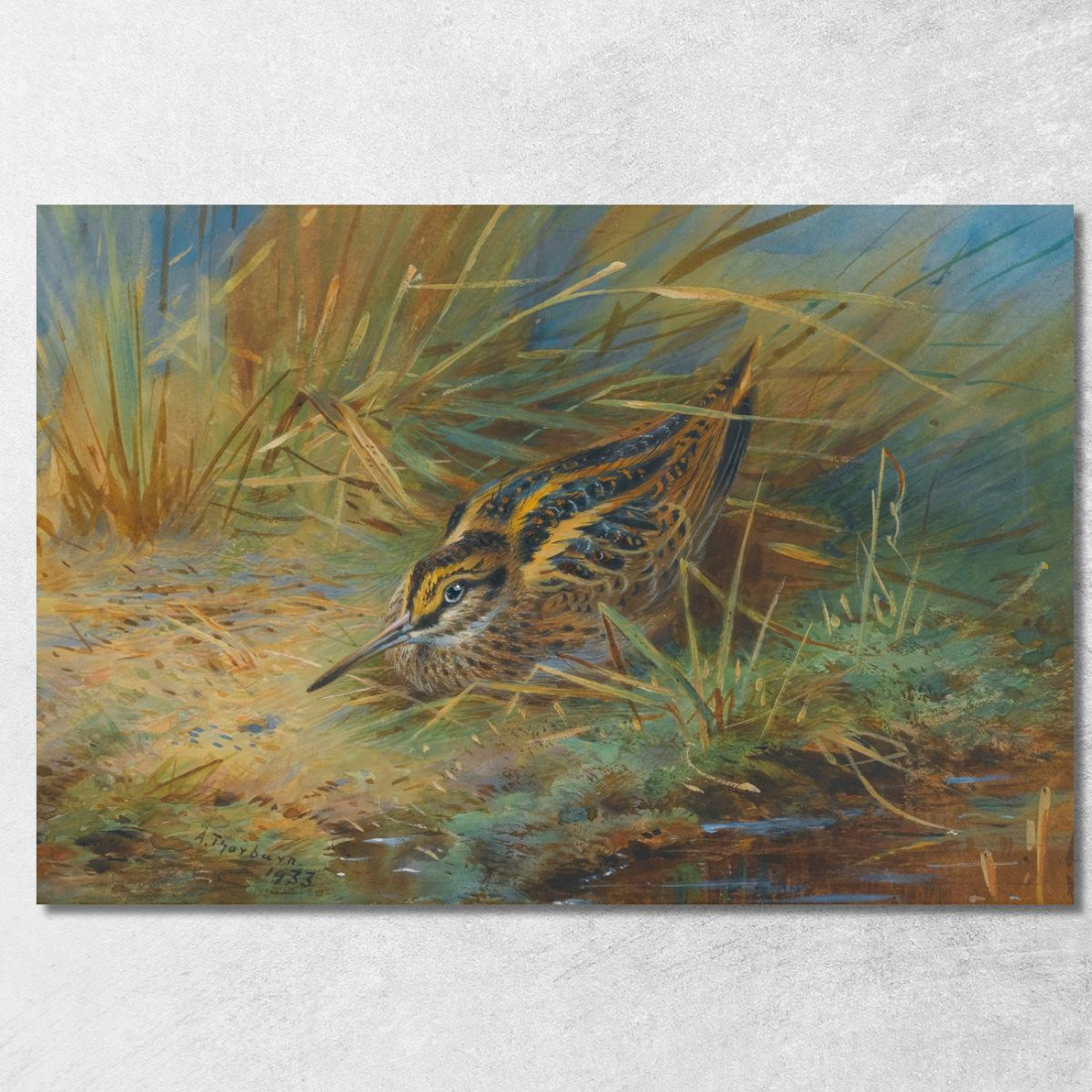 Beccaccino Archibald Thorburn ath59 quadro stampato su tela Beccaccino Archibald Thorburn ath59 quadro stampato su tela
