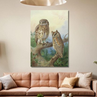 Civetta Nana E Assiolo Archibald Thorburn ath61 quadro stampato su tela