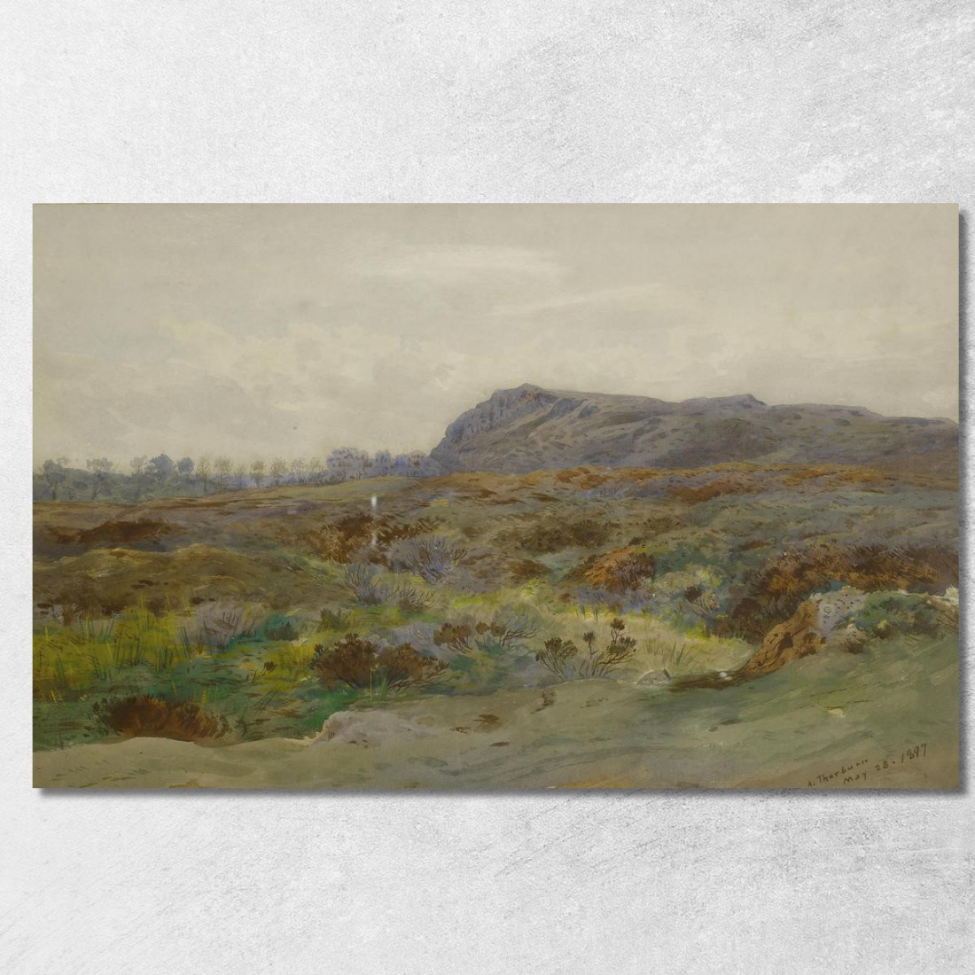 Paesaggio Di Brughiera Archibald Thorburn ath69 quadro stampato su tela Paesaggio Di Brughiera Archibald Thorburn ath69 quadro stampato su tela