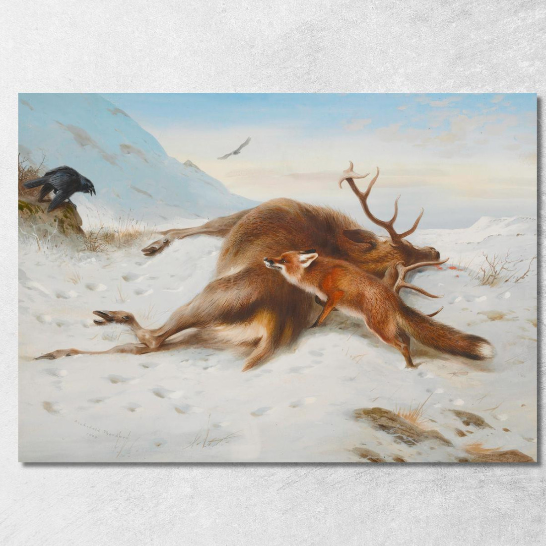 Non Per La Dispensa Archibald Thorburn ath70 quadro stampato su tela Non Per La Dispensa Archibald Thorburn ath70 quadro stampato su tela