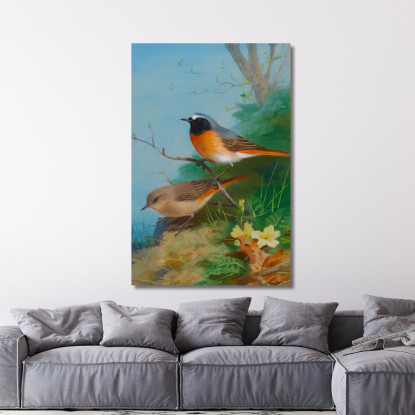 Coppia Di Codirossi Archibald Thorburn ath73 quadro stampato su tela