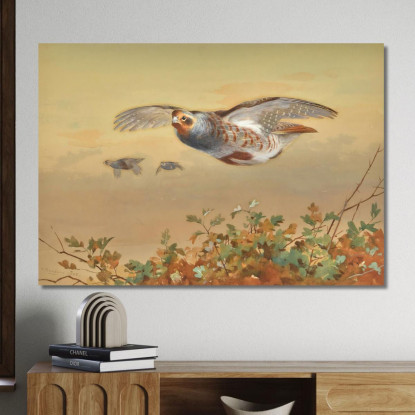 Pernice In Volo Archibald Thorburn ath74 quadro stampato su tela
