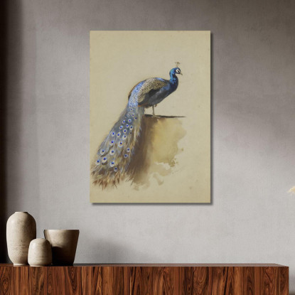 Pavone Archibald Thorburn ath77 quadro stampato su tela