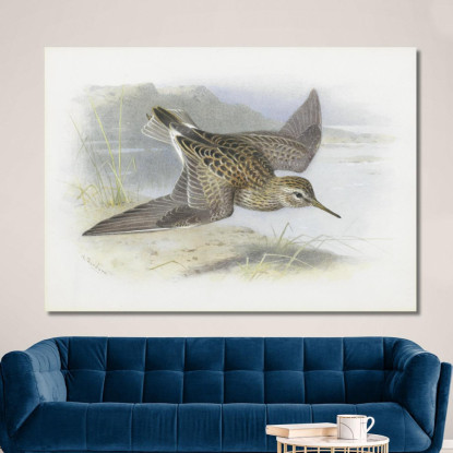 Piro-Piro Pettorale Archibald Thorburn ath78 quadro stampato su tela