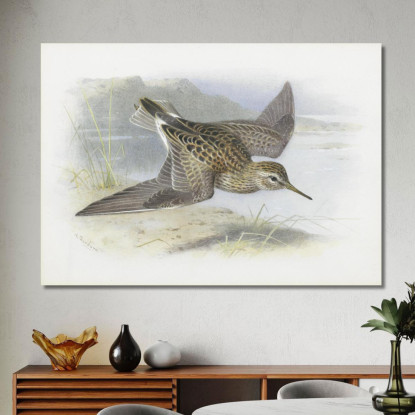 Piro-Piro Pettorale Archibald Thorburn ath78 quadro stampato su tela