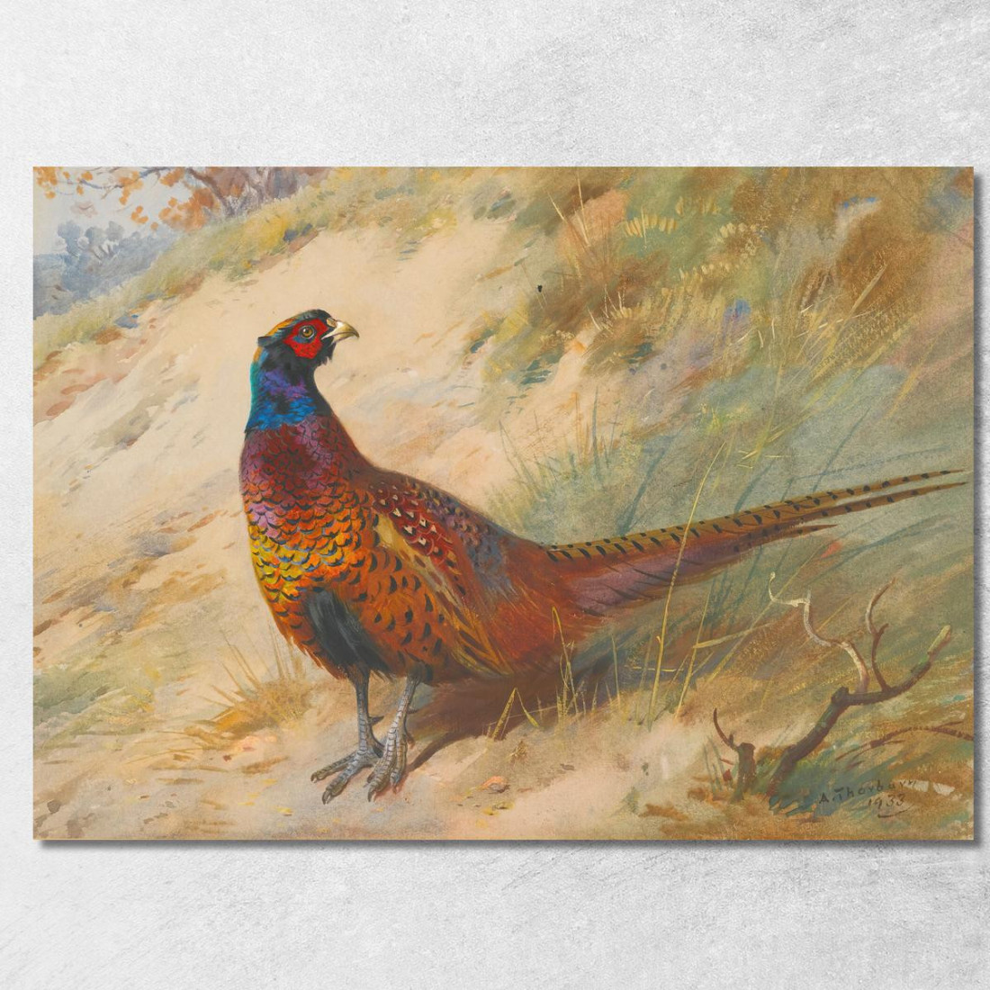 Fagiano Archibald Thorburn ath81 quadro stampato su tela Fagiano Archibald Thorburn ath81 quadro stampato su tela