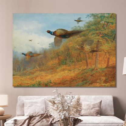 Fagiani Che Escono Dalla Copertura Archibald Thorburn ath82 quadro stampato su tela