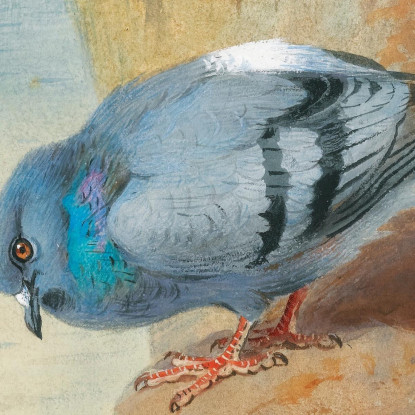 Colombacci Archibald Thorburn ath89 quadro stampato su tela