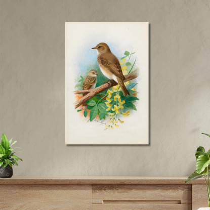 Balia Dal Collare Archibald Thorburn ath93 quadro stampato su tela