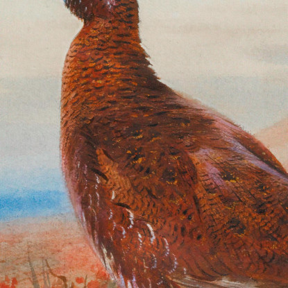 La Sfida Archibald Thorburn ath100 quadro stampato su tela
