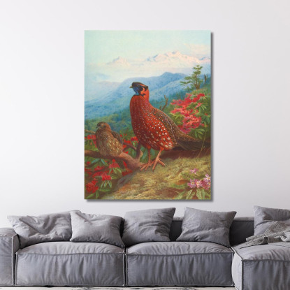 Tragopano Satira Archibald Thorburn ath103 quadro stampato su tela