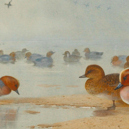 Fischione E Alzavola Sulla Riva Dell'Acqua Archibald Thorburn ath110 quadro stampato su tela
