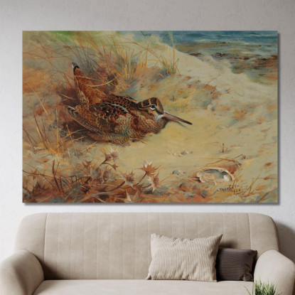 Beccaccia Rifugiata Nelle Dune Di Sabbia Archibald Thorburn ath114 quadro stampato su tela