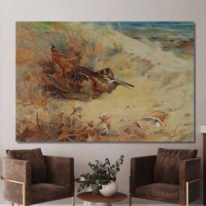 Beccaccia Rifugiata Nelle Dune Di Sabbia Archibald Thorburn ath114 quadro stampato su tela