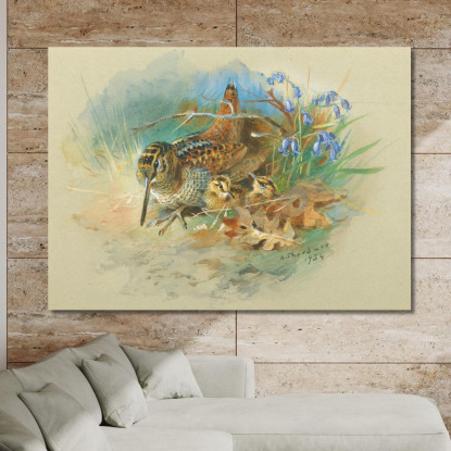 Beccaccia Con I Piccoli Archibald Thorburn ath116 quadro stampato su tela