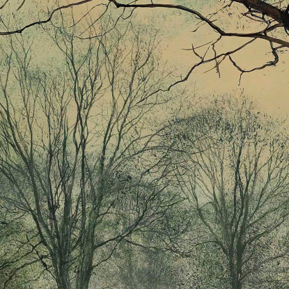 Una Passeggiata Al Chiaro Di Luna A Bonchurch Isola Di Wight John Atkinson Grimshaw jag9 quadro stampato su tela