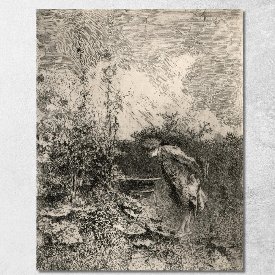 Il Botanico Mariano Fortuny Marsal mfm35 quadro stampato su tela Il Botanico Mariano Fortuny Marsal mfm35 quadro stampato su tela