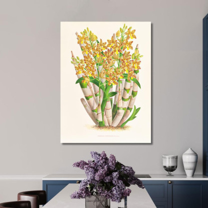 Illustrazioni Botaniche Ansellia Congoensis Jean Jules Linden jjl12 quadro stampato su tela