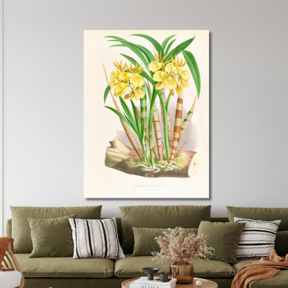 Illustrazioni Botaniche Galeandra Flaveola Jean Jules Linden jjl85 quadro stampato su tela