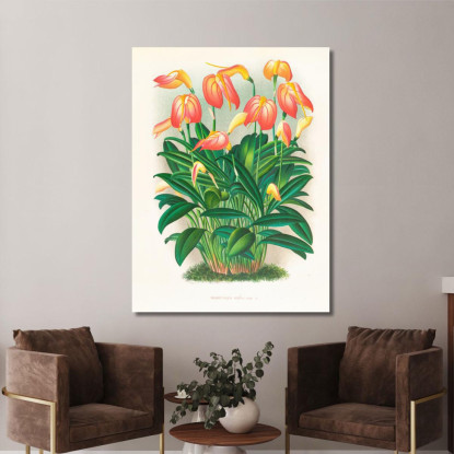 Illustrazioni Botaniche Masdevallia Ignea Jean Jules Linden jjl94 quadro stampato su tela