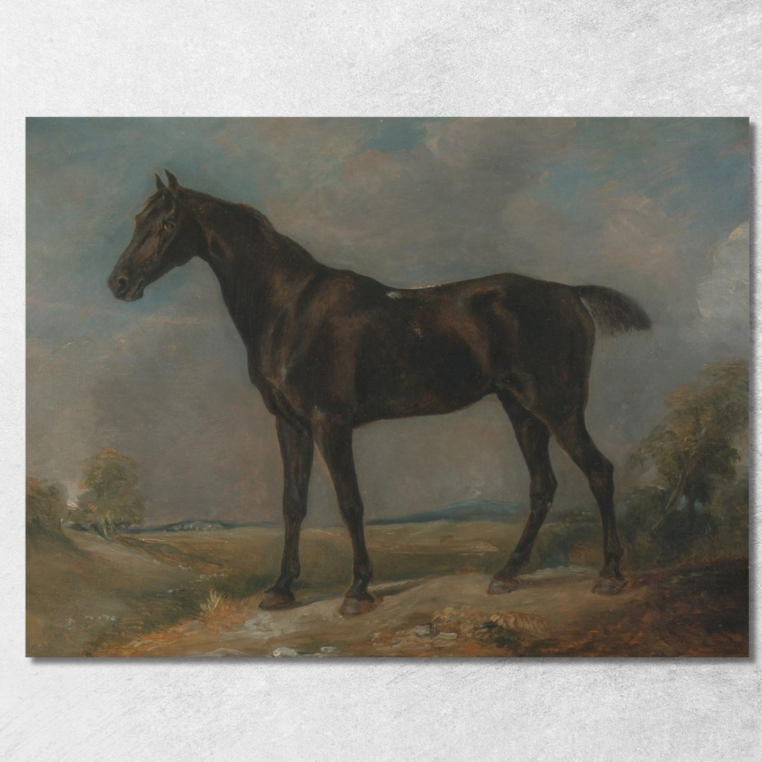 Il Cavallo Nero Da Sella Di Golding Constable John Constable jcn40 quadro stampato su tela